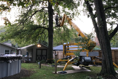 Tree trimming company